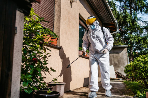 Trusted Rochester, IL Pest Control Experts