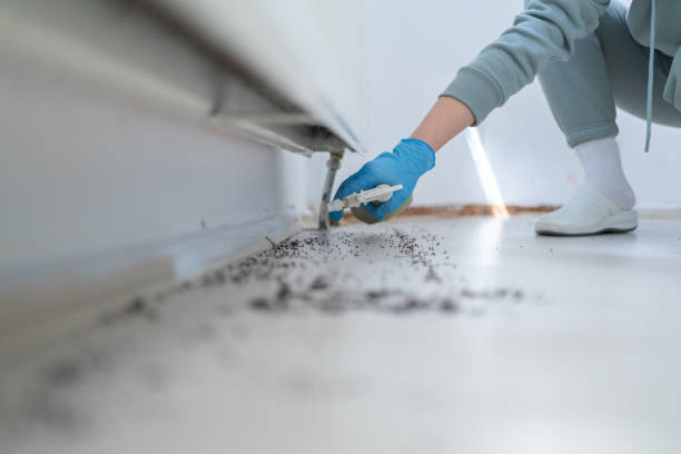 Best Exterminator Services  in Rochester, IL